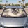 Blue Eyed Ragdoll Cat Portrait With Cream Fur For Cozy Pet Lover Daily Travel Style Car Sunshade - 2