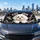 Cute Maltese Dog With Cream Fur Letters And Celestial Sparkles For Daily Commutes Car Sunshade - 5