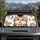 Surprised Tabby Kitten Peekaboo Cute Cat Decor For Cat Lovers And Daily Travel Vibes Car Sunshade - 2