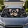 Adorable Long Haired Chihuahua Puppy In Dark Grunge Torn Paper For Dog Lovers Daily Drive Car Sunshade - 1