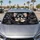Adorable Long Haired Chihuahua Puppy In Dark Grunge Torn Paper For Dog Lovers Daily Drive Car Sunshade - 4