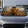 Highland Cow Rustic Farmhouse Decor For Country Animal Lovers And Scottish Gifts Car Sunshade - 4
