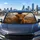 Highland Cow Rustic Farmhouse Decor For Country Animal Lovers And Scottish Gifts Car Sunshade - 5