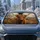 Highland Cow Rustic Farmhouse Decor For Country Animal Lovers And Scottish Gifts Car Sunshade - 2