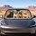 French Bulldog Quartet On Beige Woven Texture For Dog Lovers Road Trip Decor Gift Car Sunshade - 4