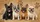 French Bulldog Quartet On Beige Woven Texture For Dog Lovers Road Trip Decor Gift Car Sunshade - 6