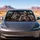 Abandoned Auto Cabin Skeleton Horror Decor For Goth Drivers And Halloween Haunt Fans Car Sunshade - 4