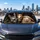 Funny Donkey Horse Sheep Farm Animal Trio For Road Trips And Country Humor Fans Gift Car Sunshade - 5