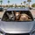 Funny Donkey Horse Sheep Farm Animal Trio For Road Trips And Country Humor Fans Gift Car Sunshade - 2