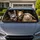 Funny Donkey Horse Sheep Farm Animal Trio For Road Trips And Country Humor Fans Gift Car Sunshade - 1