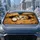 Realistic Blue Eyed Kitten Peeking From Cardboard Box For Cat Lovers And Pet Owners Car Sunshade - 2