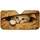 Realistic Blue Eyed Kitten Peeking From Cardboard Box For Cat Lovers And Pet Owners Car Sunshade - 3