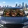 Joyful Rottweiler Pack Selfie In Vehicle Cabin For Dog Lover Road Trip Gift Decor Car Sunshade - 5