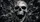 Screaming Skull Broken Glass Gothic Horror Style For Metal Fans And Dark Daily Rides Car Sunshade - 6