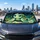Cute Baby Sea Turtle Underwater Ocean Decor For Beach Lovers And Coastal Style Fans Car Sunshade - 5