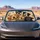 Funny Five Dog Group Portrait With Paw Accents For Pet Lover Road Trips And Daily Rides Car Sunshade - 4