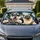 Shaggy Terrier In Sunglasses With Siamese Cat Road Trip Summer Pet Lovers Decor Gift Car Sunshade - 1