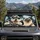 Shaggy Terrier In Sunglasses With Siamese Cat Road Trip Summer Pet Lovers Decor Gift Car Sunshade - 2