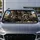 Whimsical Raccoon Road Trip Crew With Popcorn And Mushroom Meadow For Travel Fans Car Sunshade - 5
