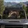 Realistic French Bulldog Puppy Portrait For Pet Lovers Road Trip Decor And Dog Moms Car Sunshade - 2