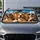 Five Happy Beagles On Road Trip Ride With Sunglasses For Dog Lovers Vacation Fun Car Sunshade - 5