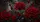 Gothic Crimson Roses And Butterflies For Moody Dark Floral Auto Style Gift For Her Car Sunshade - 6