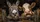 Funny Donkey And Cow At Rustic Fence Barnyard Humor For Farm Animal Lovers Road Trips Car Sunshade - 6
