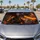 Fire Breathing Black Dragon Fantasy Battlefield Scene For Dark Gothic Adventure Fans Car Sunshade - 4