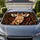 Realistic Giraffe Portrait With Bold Safari Spots For Wildlife Lovers And Road Trips Car Sunshade - 1