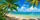 Tropical Beach Coconut Palms And Turquoise Ocean For Summer Road Trip Vibes And Getaways Car Sunshade - 6