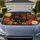 Two Dachshund Floral Garden Portraits For Dog Lovers Road Trip Interior Decor Gift Car Sunshade - 1