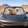 Highland Cow With Pink Flower Rustic Farmhouse Decor For Country Western Style Fans Car Sunshade - 4