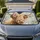 Highland Cow With Pink Flower Rustic Farmhouse Decor For Country Western Style Fans Car Sunshade - 1