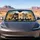 Five Cute Pomeranian Puppies Garden Bokeh UV Heat Blocking Travel Gift For Dog Lovers Car Sunshade - 5