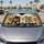 Five Cute Pomeranian Puppies Garden Bokeh UV Heat Blocking Travel Gift For Dog Lovers Car Sunshade - 4
