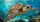 Realistic Sea Turtle Tropical Ocean Reef Scene For Beach Lovers And Coastal Decor Car Sunshade - 6