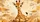 Cute Baby Giraffe Safari Nursery Style Decor For Animal Lovers And Road Trip Families Car Sunshade - 6