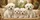 Four Fluffy White Puppies On Tan Bench For Cozy Road Trips And Small Dog Lovers Car Sunshade - 6