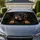 Realistic Rottweiler Puppy With Black Charcoal Shadows For Dog Lovers Daily Travel Car Sunshade - 1