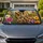 Vivid Brown Owl With Garden Flowers For Boho Nature Decor And Bird Lovers Spring Meadow Car Sunshade - 1
