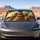 Sunglasses Sloth Family In Tropical Cruiser For Beach Road Trips And Summer Drivers Car Sunshade - 5