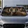 Majestic Bighorn Ram Wildlife Portrait For Mountain Road Trips And Outdoor Enthusiasts Car Sunshade - 5