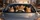 Realistic Cats Driving Silver Sedan Road Trip Decor For Pet Lovers And Commuters Car Sunshade - 6