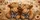 Cute Highland Cow Calves With Buffalo Plaid Bows For Rustic Farmhouse Road Trips Car Sunshade - 6