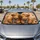 Cute Highland Cow Calves With Buffalo Plaid Bows For Rustic Farmhouse Road Trips Car Sunshade - 4