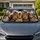 Greyhound And Tabby Cat Road Trip Pet Family Portrait For Dog And Cat Lovers Travel Fans Car Sunshade - 1