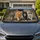 Four Realistic Cats Strolling On City Sidewalk For Cozy Daily Drives And Cat Lovers Car Sunshade - 1
