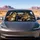 Realistic Squirrel Takeover Vehicle Cabin For Funny Road Trip Wildlife Lovers Gift Car Sunshade - 4