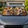 Funny Greyhound Whippet Dog Road Trip Cabin Scene With Sunglasses For Sighthound Lovers Car Sunshade - 1