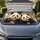 Cute Giant Panda Pair In Cozy Cabin For Playful Road Trips And Family Animal Lovers Car Sunshade - 1